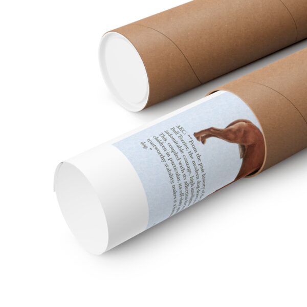 SBT Breed Standard poster - Image 3