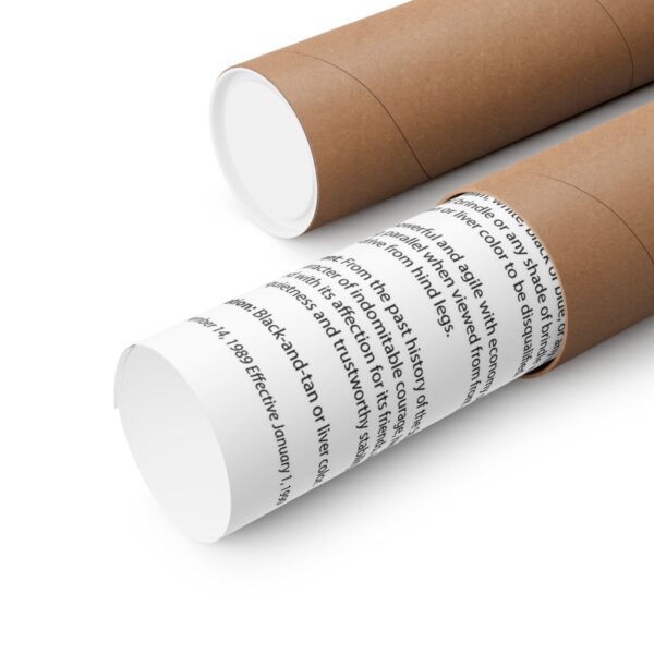 AKC SBT Breed Standard poster - Image 3