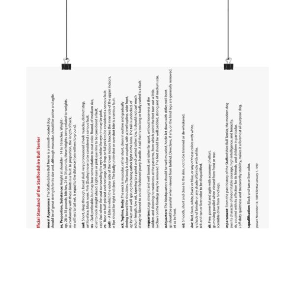 AKC SBT Breed Standard poster - Image 5