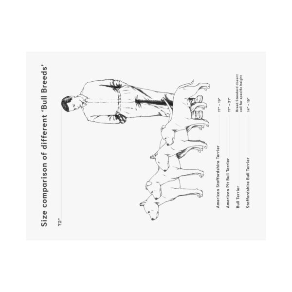 Bull Breed Comparison poster - Image 6