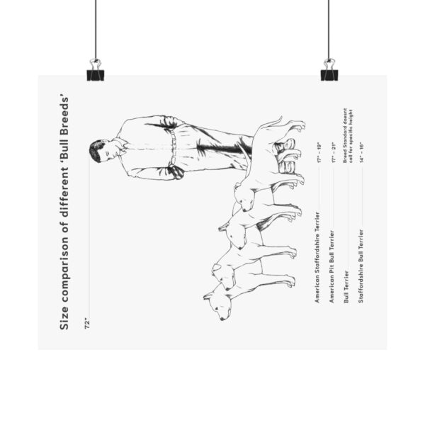 Bull Breed Comparison poster - Image 5