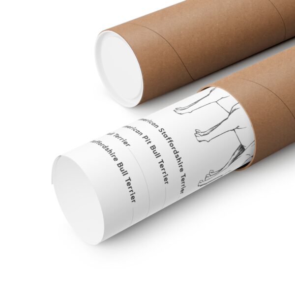 Bull Breed Comparison poster - Image 3