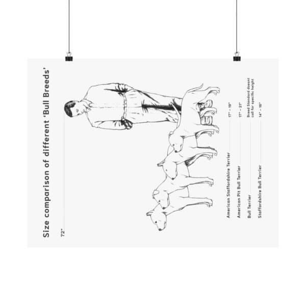 Bull Breed Comparison poster - Image 9