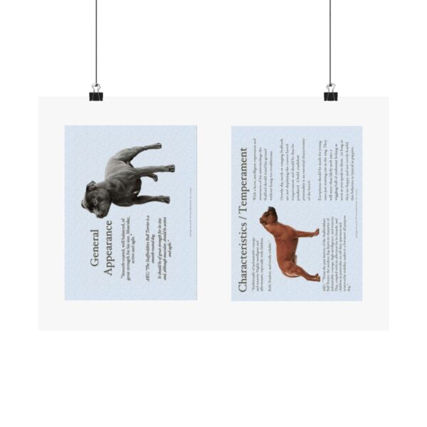 SBT Breed Standard poster - Image 5