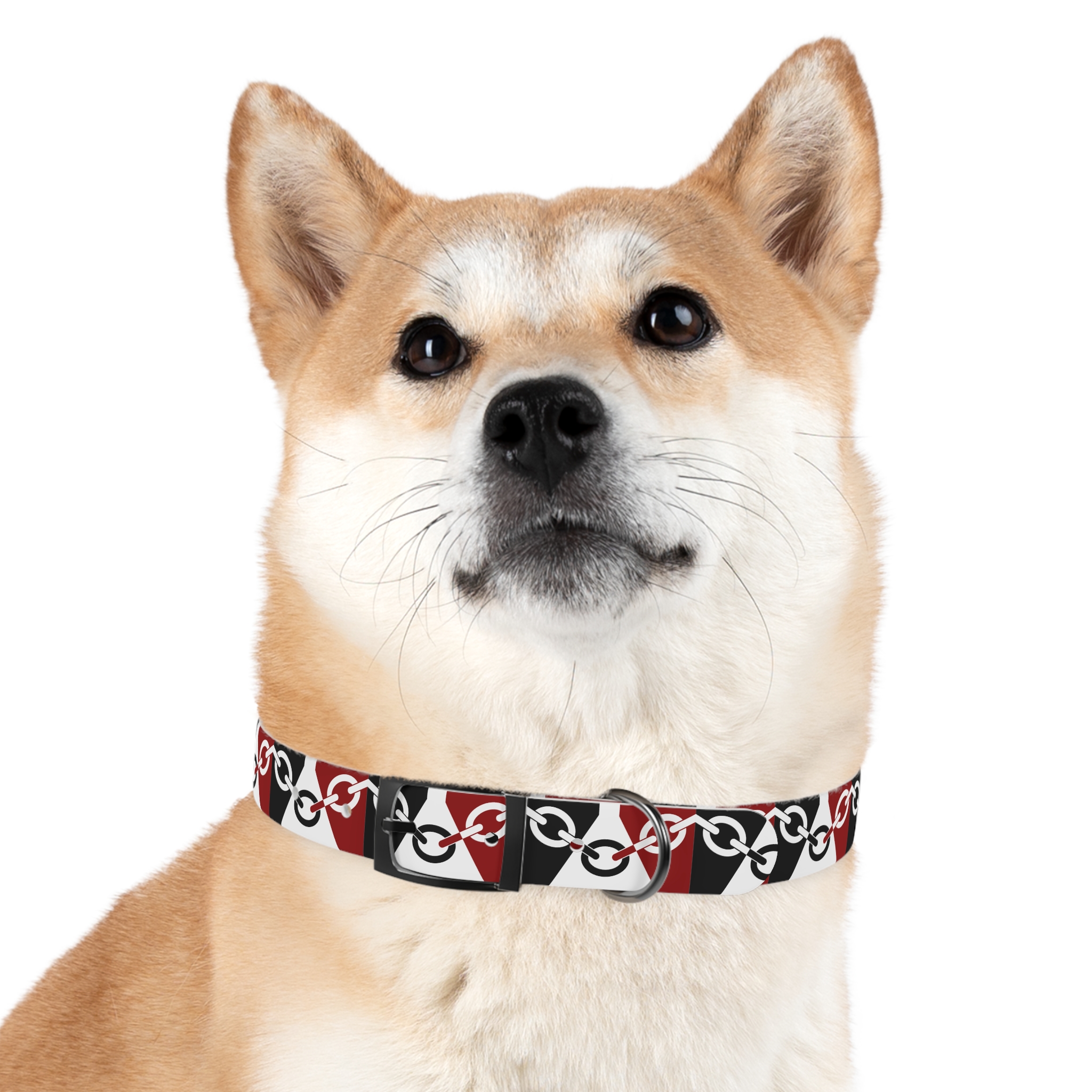 Black Country Flag Dog Collar - Image 24
