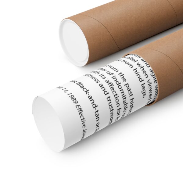 AKC SBT Breed Standard poster - Image 7