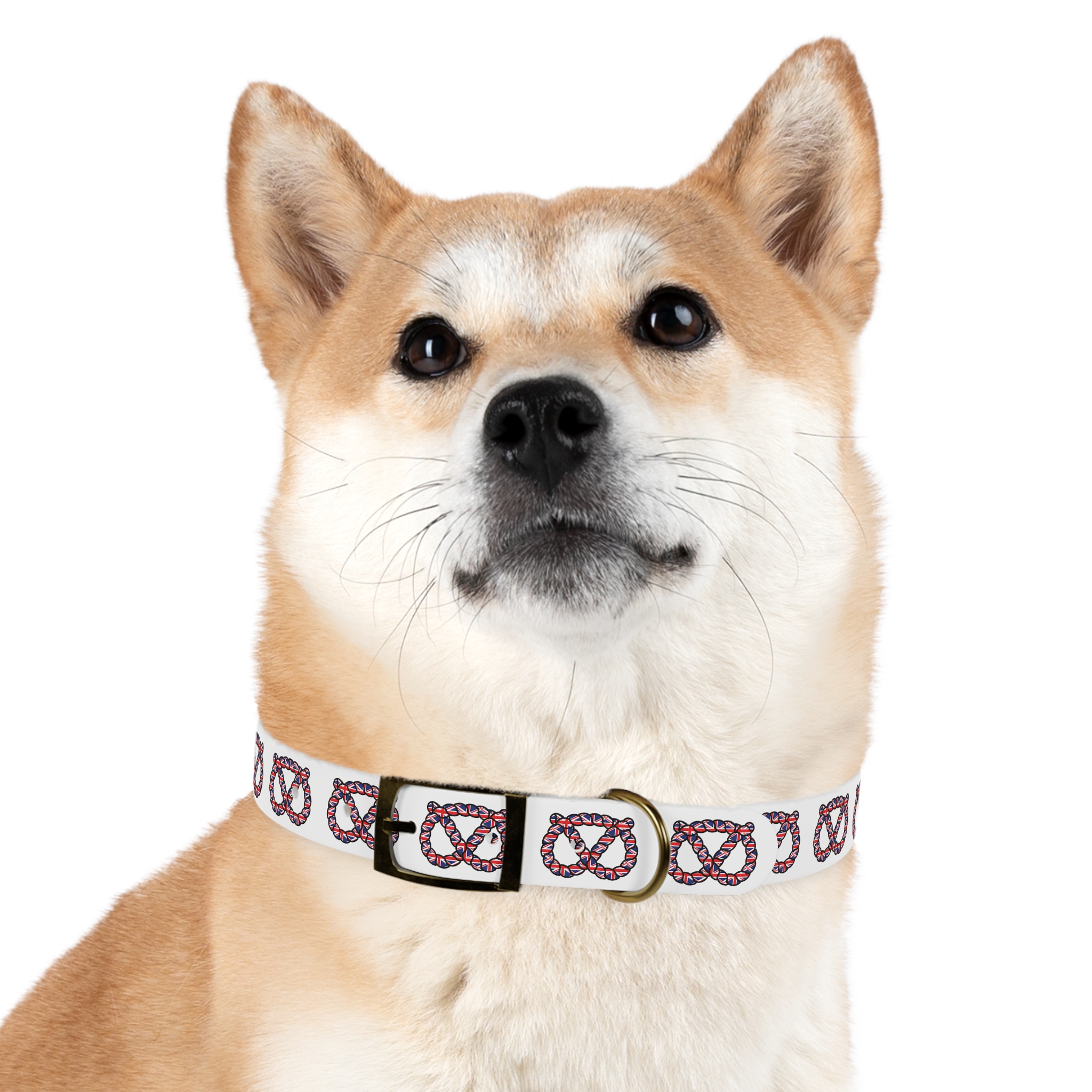 Stafford Knot Union Jack Dog Collar - Image 18