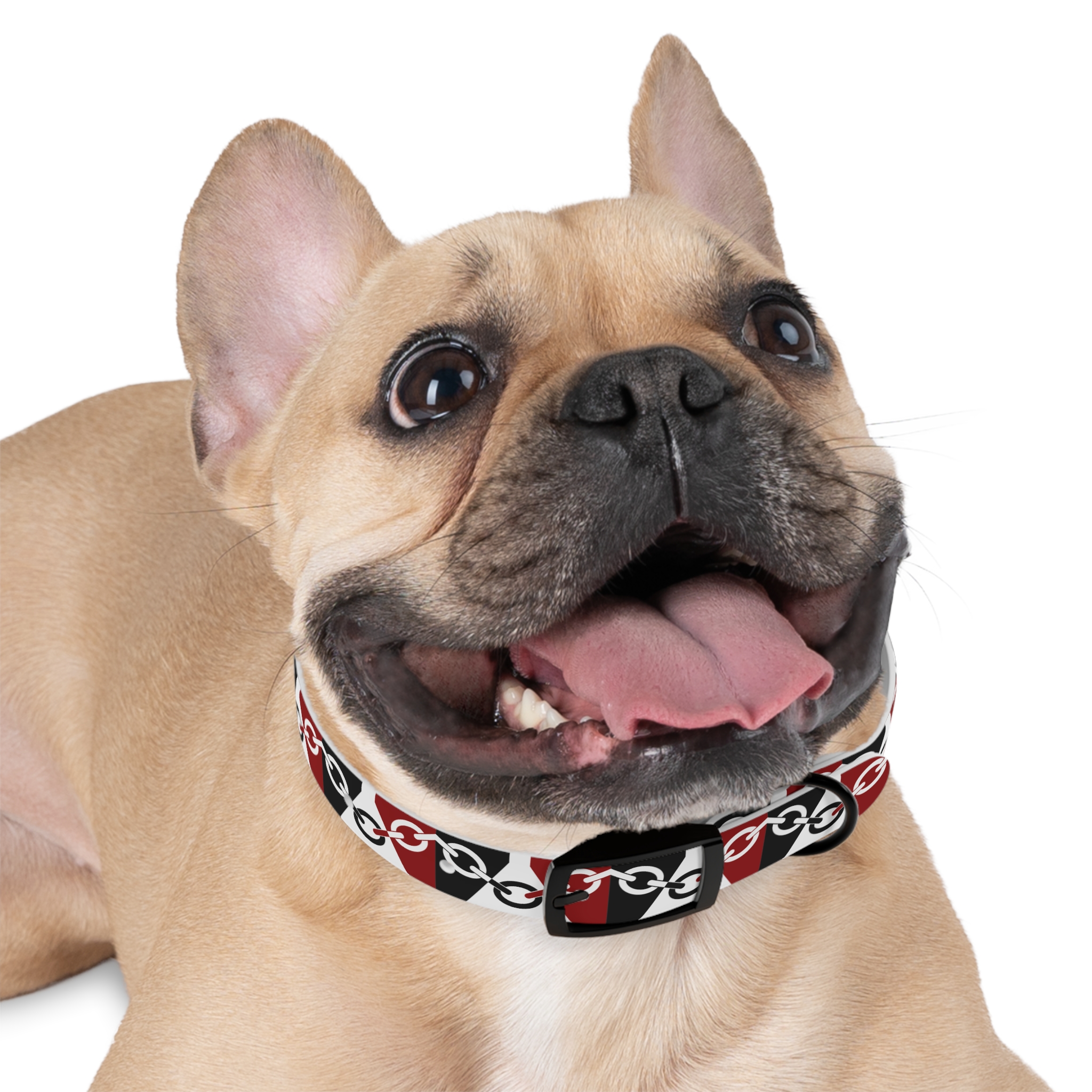 Black Country Flag Dog Collar - Image 3