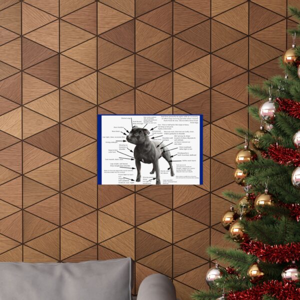 SBT Breed Standard poster - Image 8