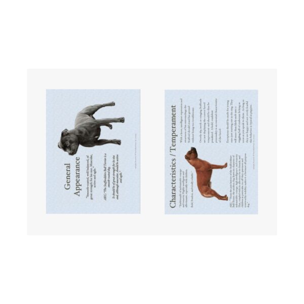 SBT Breed Standard poster - Image 6