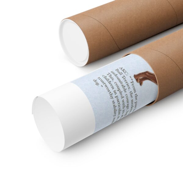 SBT Breed Standard poster - Image 7