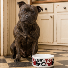 Black Country Stafford design  Bowl