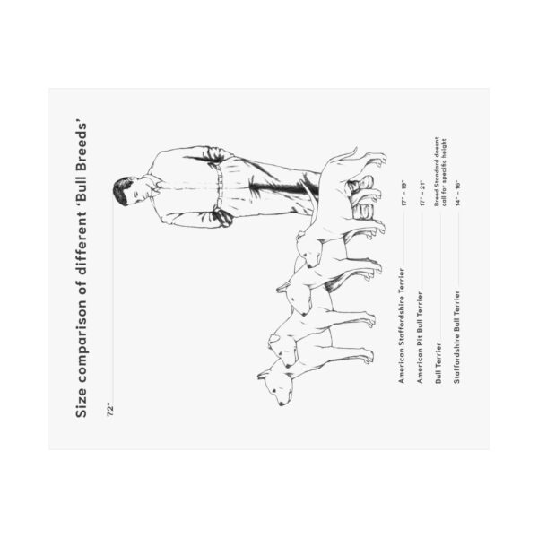 Bull Breed Comparison poster - Image 2