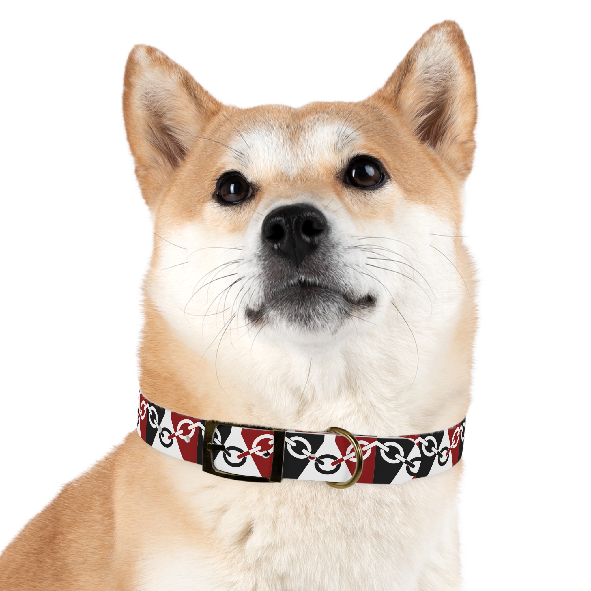 Black Country Flag Dog Collar - Image 27