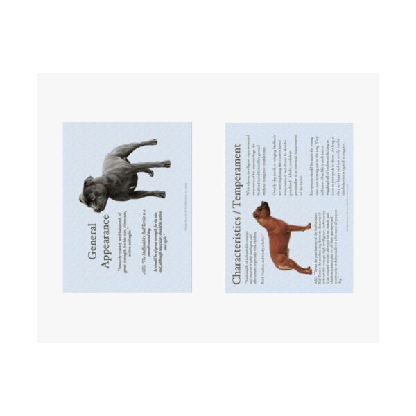 SBT Breed Standard poster - Image 2