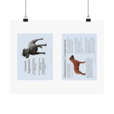 SBT Breed Standard poster