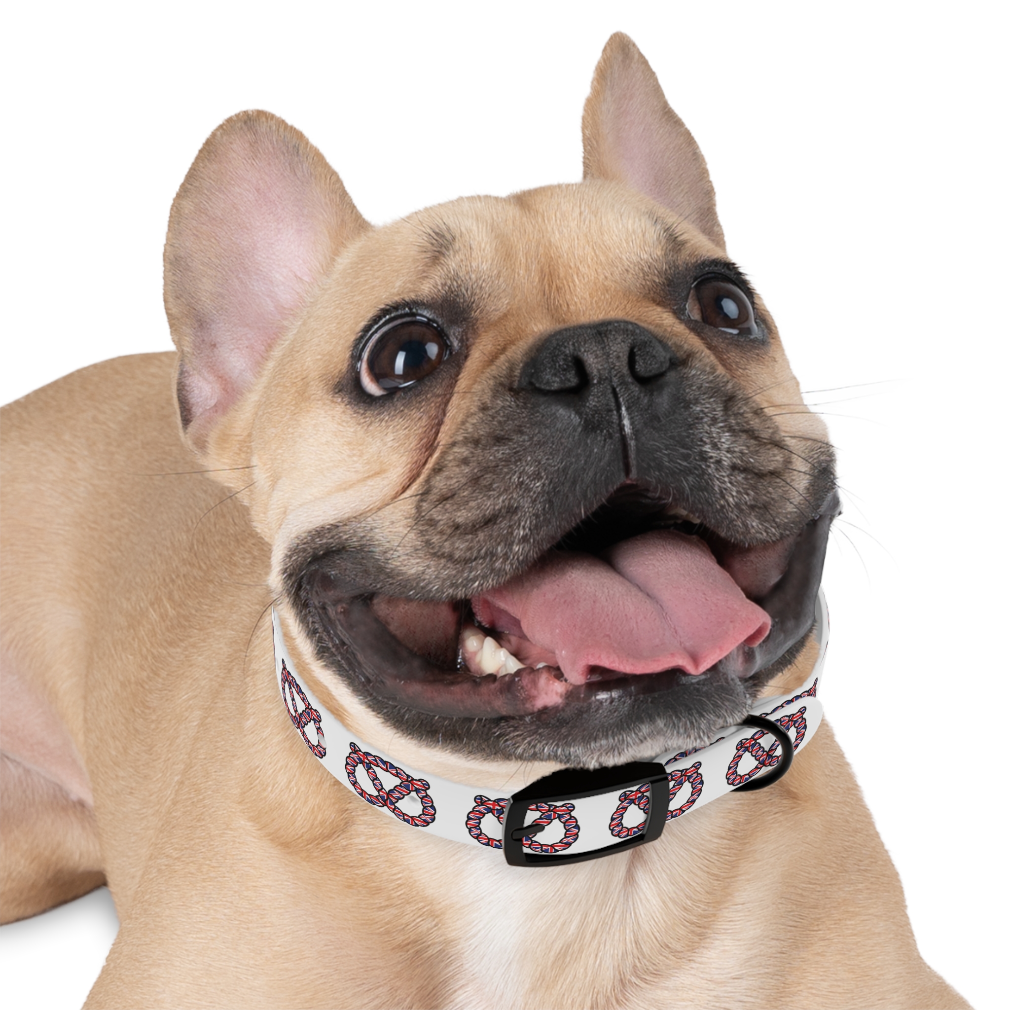 Stafford Knot Union Jack Dog Collar - Image 3