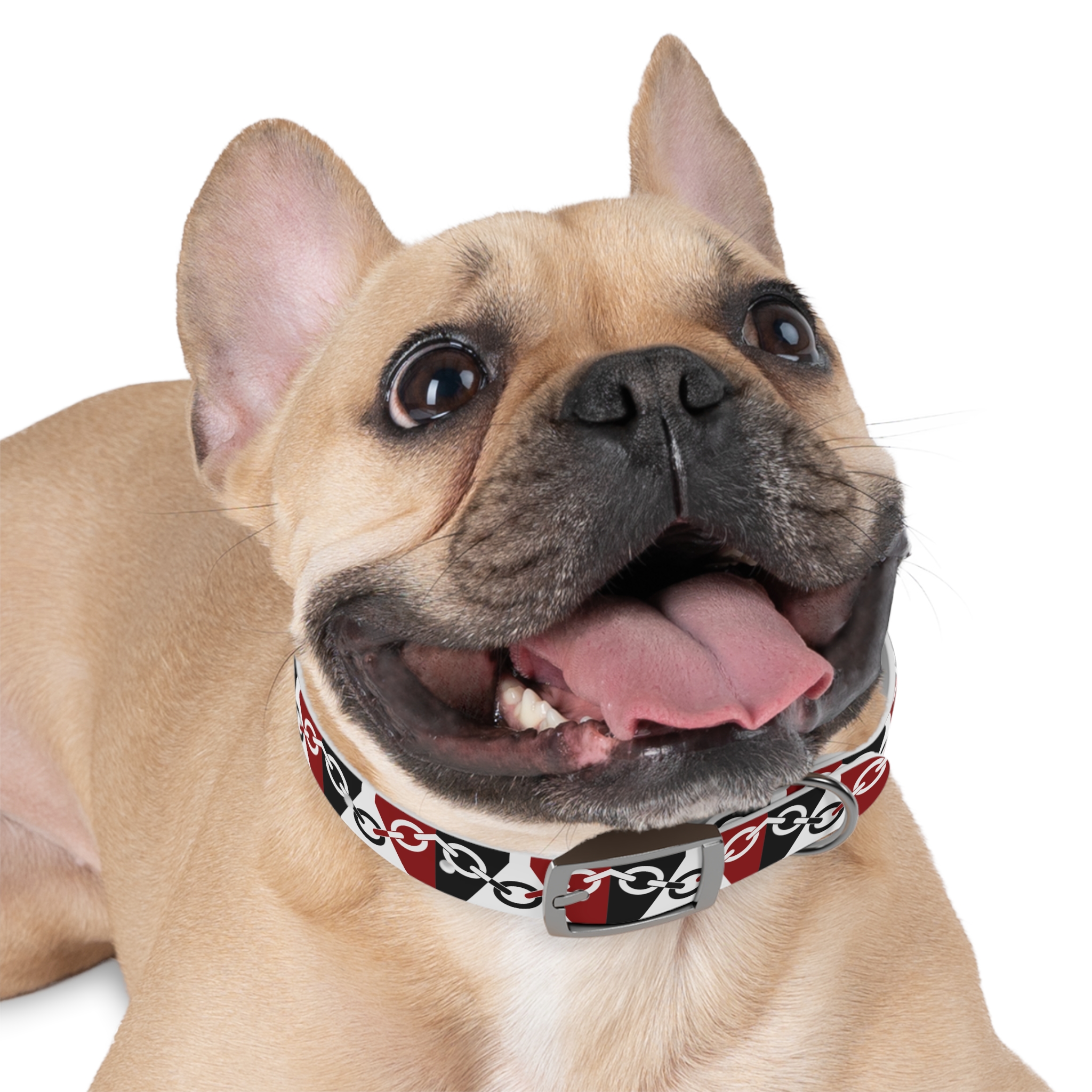 Black Country Flag Dog Collar - Image 6