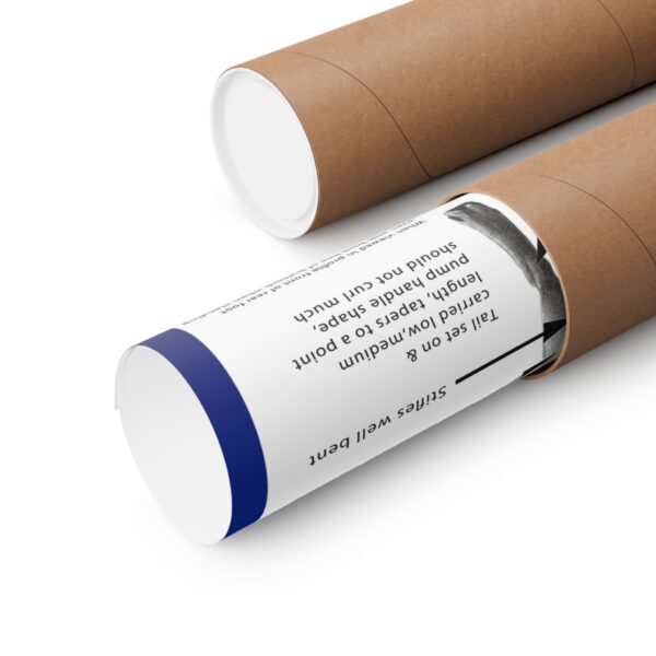 SBT Breed Standard poster - Image 3