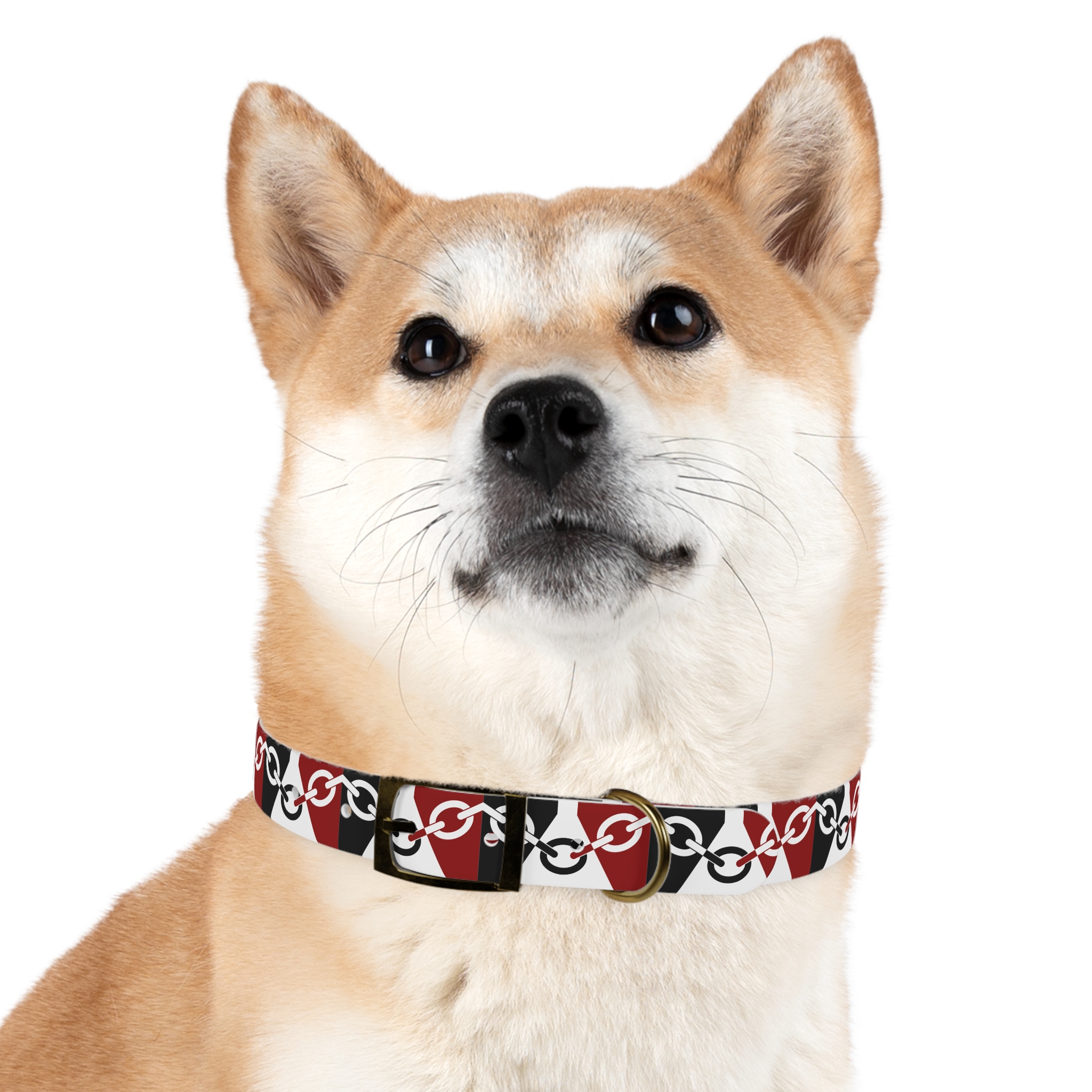 Black Country Flag Dog Collar - Image 18