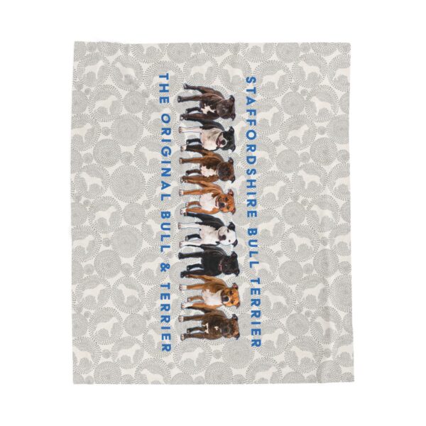 Stafford Velveteen Plush Blanket - Image 2