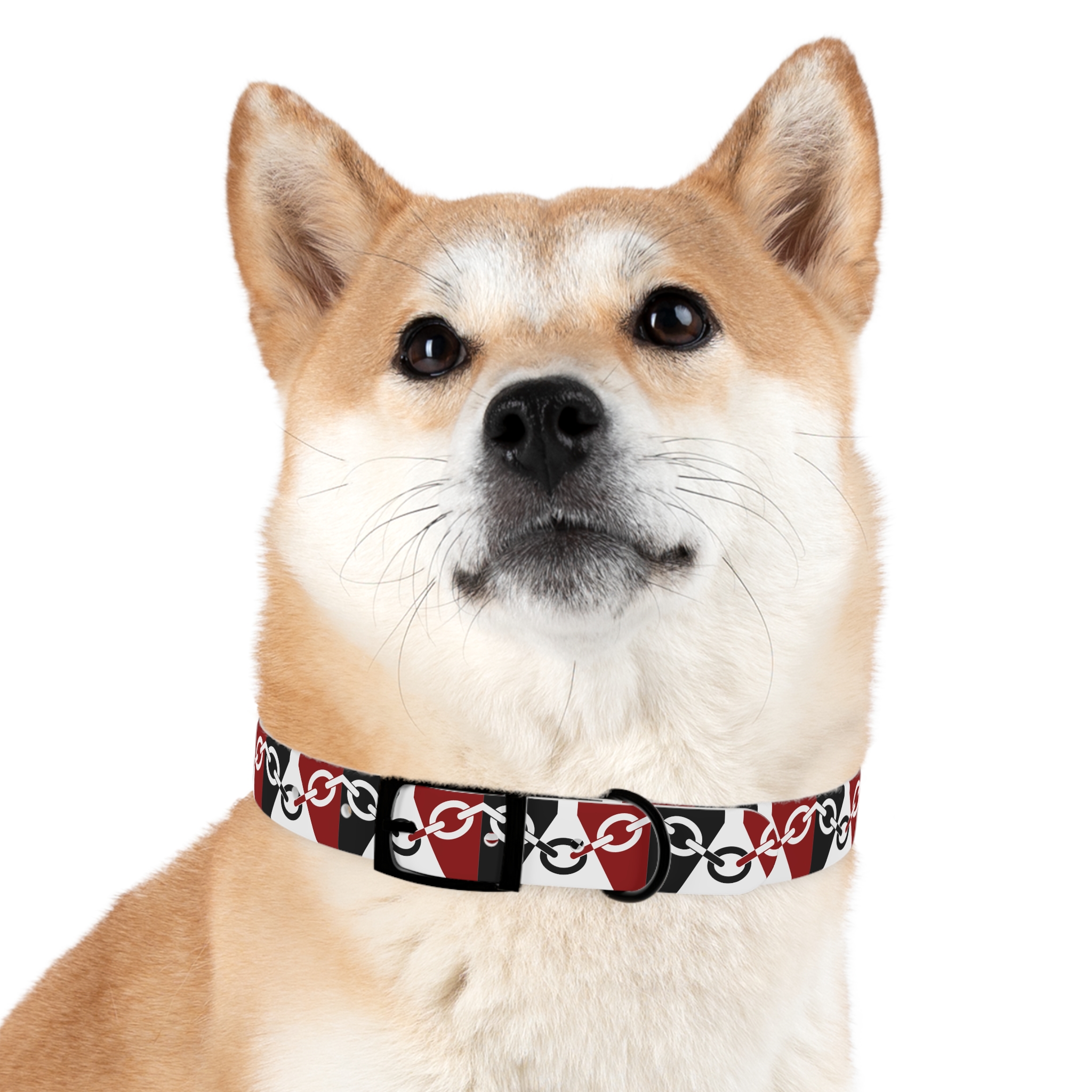 Black Country Flag Dog Collar - Image 12