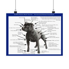 SBT Breed Standard poster