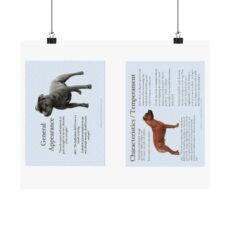 SBT Breed Standard poster