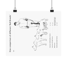 Bull Breed Comparison poster