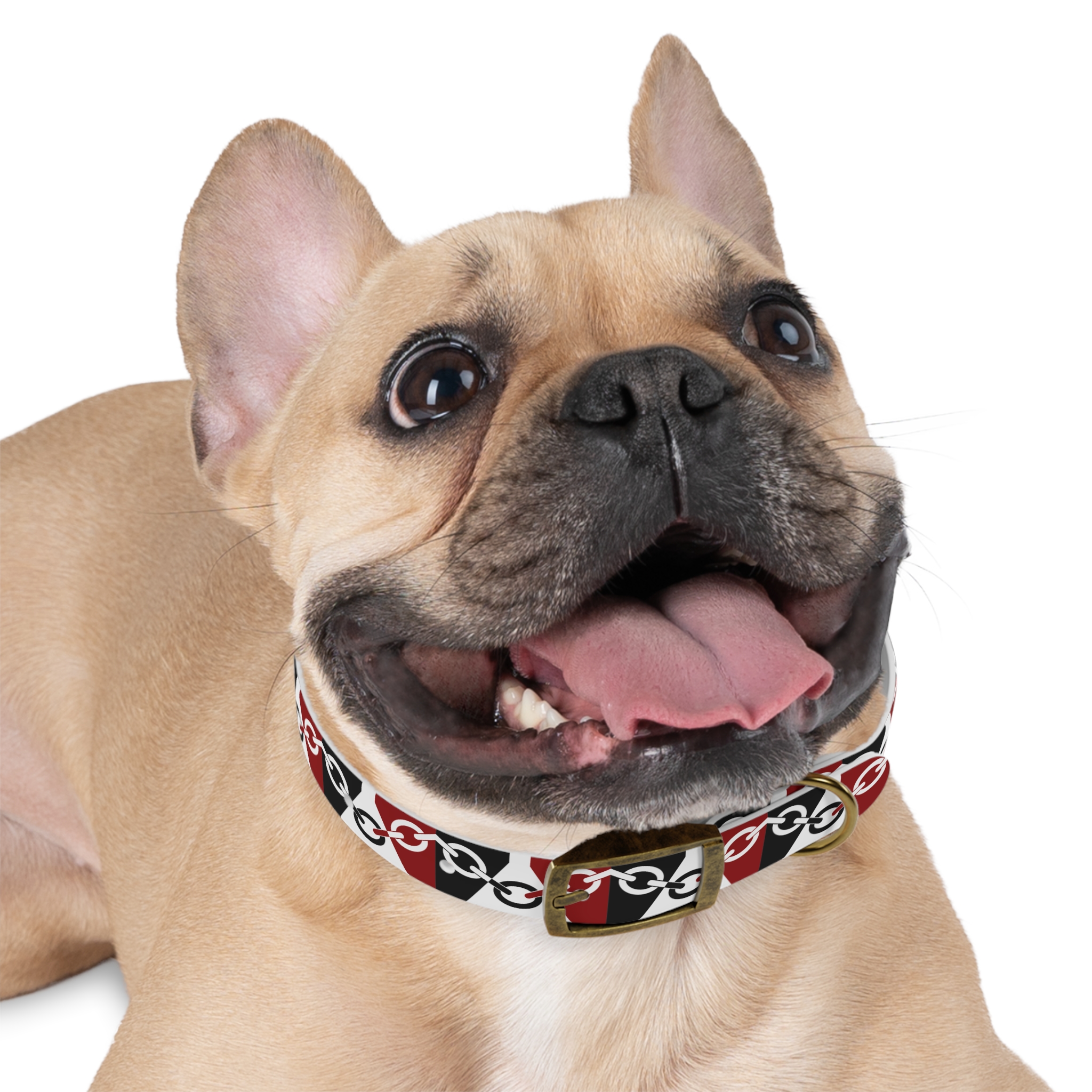 Black Country Flag Dog Collar - Image 9